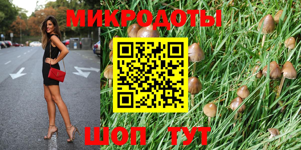 Псилоцибиновые грибы Psilocybe Сухой Лог