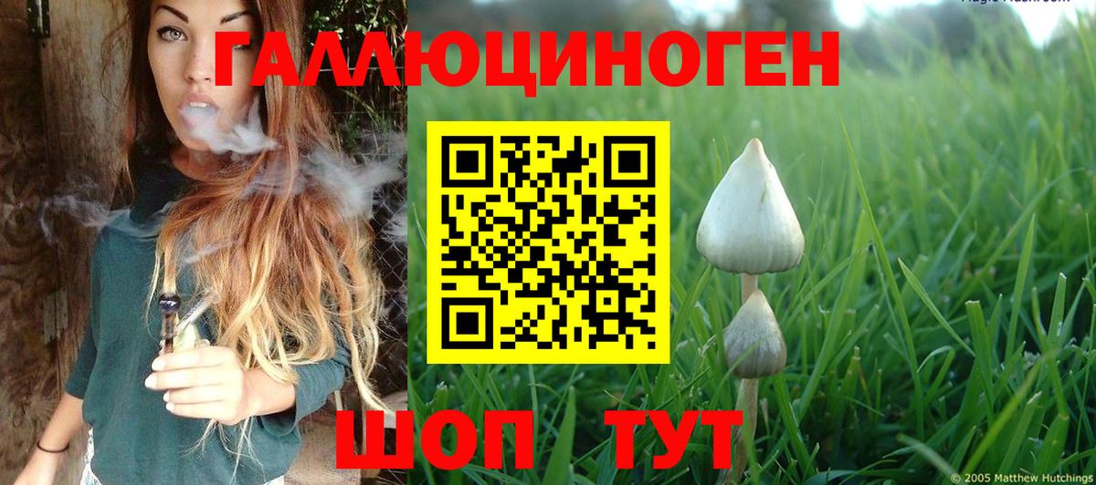 Галлюциногенные грибы MAGIC MUSHROOMS  Вход с VPN  Сухой Лог 